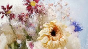 7677115-hd_1920_1080_25fps