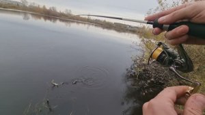 Китайцы делают вещи! BEARKING ROZANTE 63SP ЛОВИТ ЩУКУ!
НЕ ПОКУПАЙ ПОКА НЕ ПОСМОТРИШЬ ЭТО ВИДЕО!