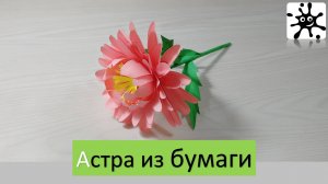 Астра из бумаги. Астра своими руками