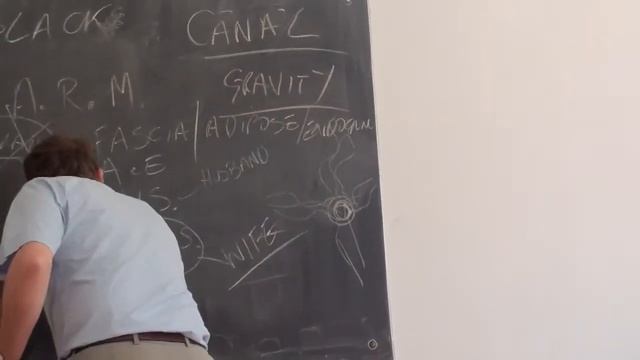 .Боуен и вегетативна нервна сиситема курс София 2012 - 2 смотреть онлайн