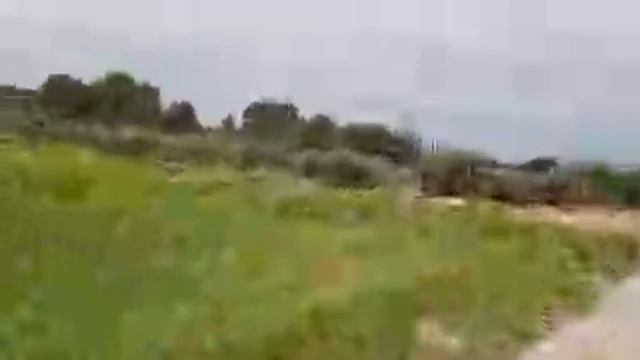 Прогулка с собакой по Провансу. Прямой эфир.