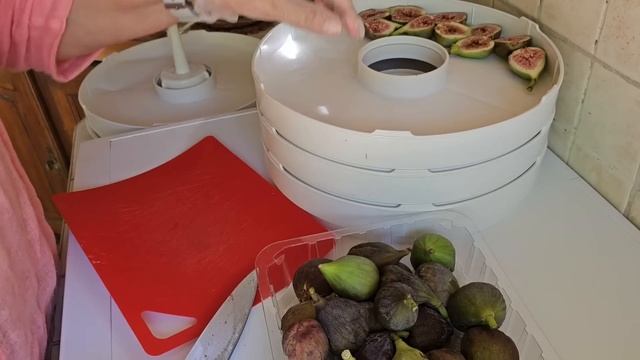 Влог домашний.Варенье,сушка инжира,чипсы и прочее.Урожай,и  мой многострадальный огород.Я заболела
