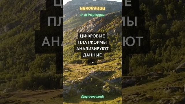 Цифровые платформы ...