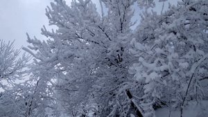 Сулейман - Стальский район село Асаликент