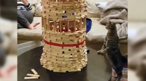 Кошачий облом, 1. Смотри куда тапаешь!