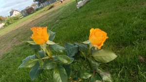 Ну вот и все