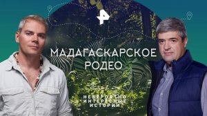 Мадагаскарское родео — Невероятно интересные истории (14.12.2023)