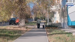 Восемь участков тротуарной сети отремонтировано в этом году в Сарапуле