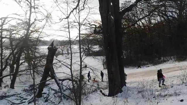 Поместье Рачинских в Рогалине. Польша🇵🇱 смотреть онлайн