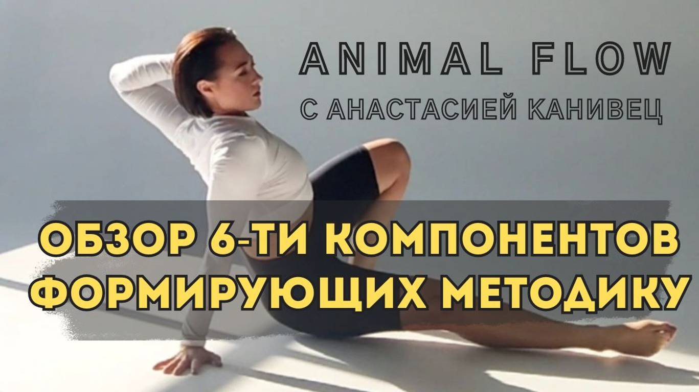 Что такое Animal Flow?
Обзор 6-ти компонентов