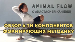 Что такое Animal Flow?
Обзор 6-ти компонентов