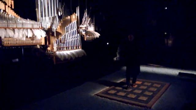 Kuusamos stadsdirektör provar "Vinterorgeln" på Avesta Winter Art 2015-02-22. смотреть онлайн