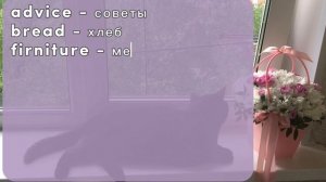 Исчисляемые и неисчисляемые существительные.