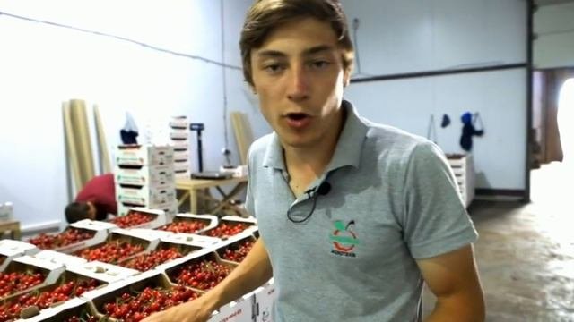Черешня