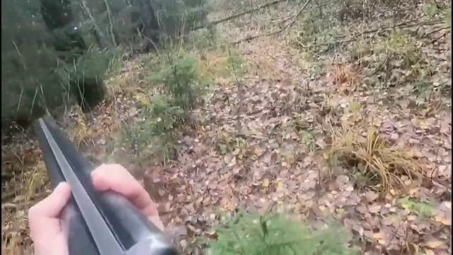 Последние новости