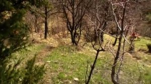 17 апреля 2011г.mp4