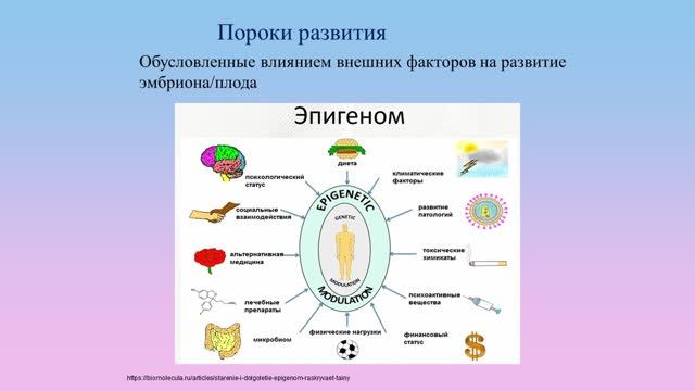 Пренатальный скрининг