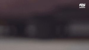 3-х местный диван «Баттерфляй». Пинскдрев.