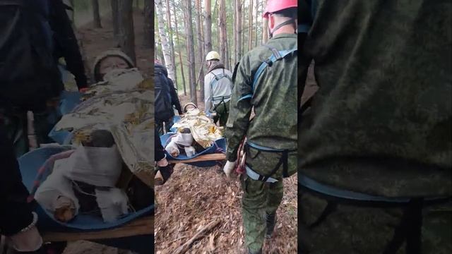 Школа безопасности смотреть онлайн