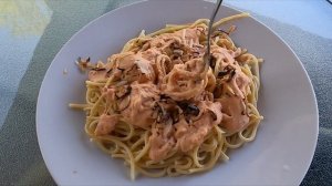 4196672-hd_1920_1080_30fps