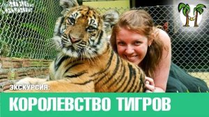 Королевство Тигров на Пхукете, экскурсии на Пхукете _ Tiger Kingdom