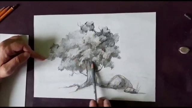 Рисунок дерева - 1е классы, ПЛЕНЭР.  Преп.  Спиренкова М.В.