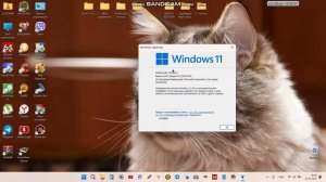 Как узнать версию виндовс11 22h2