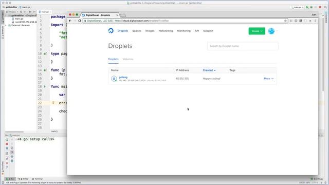 Run Golang website on server