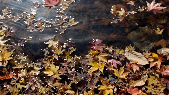 Gabriel Yared : City of Angels - Angel смотреть онлайн