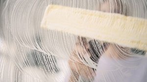 Karcher WV 2 Plus Window Vac