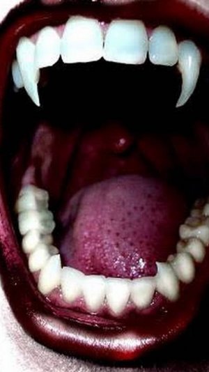 Купил SSD  а комп не видит, решение