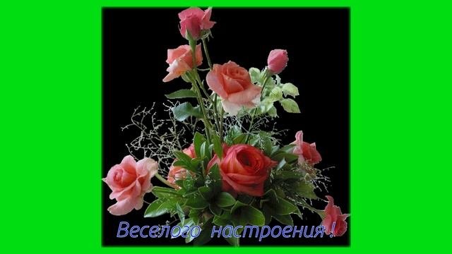 Веселого  настроения !!!