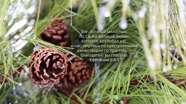 Расслабься в Божьем присутствии Слово Божье под звук дождя. Молитва. смотреть онлайн