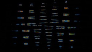 (REQUESTED) All Windows Animations (UPDATED NOVEMBER 2018) is High