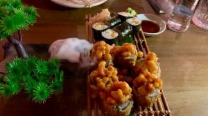 5533218-hd_1920_1080_30fps