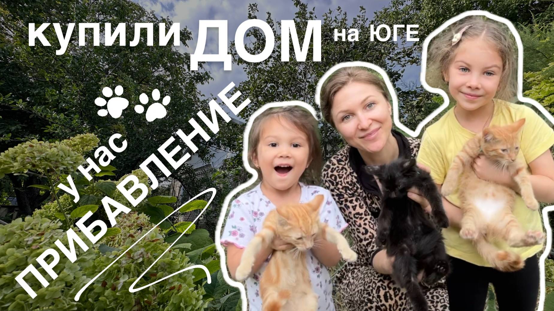 КУПИЛИ ДОМ НА ЮГЕ #4. Забрали трёх котят с помойки. Продолжаем убираться.