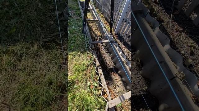 Обрезка винограда