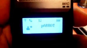 MMDVM test DMR Parrot