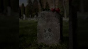 первая анимация #бумажное_оброзование #кто_то_сдох)