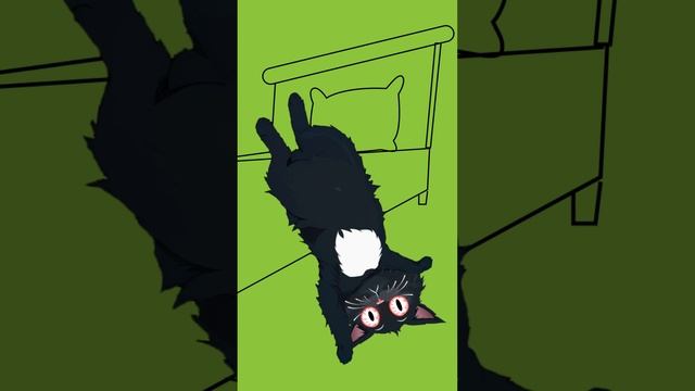 «Ещё пять минут»… и вот я проспал пол дня!
А с кем такое не происходило 😼