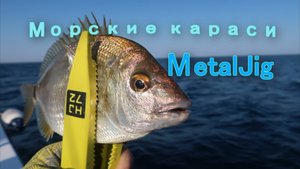 за Карасем на MetalJig август Анапа