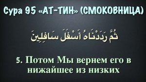 Сура 95 ат-Тин (арабские и русские титры) - Мухаммад Люхайдан