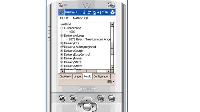 ERP Client: Microsoft Dynamics AX 4