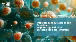 Peptides as regulators of cell functions. Peptide regulation of directed cell differentation.