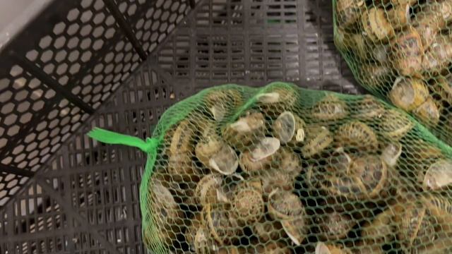 Заканчиваем сезон 2024 и рассказываю о планах на 2025 год🐌