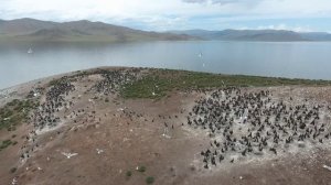 Монголия. Озеро Тэрхийн-Цаган нуур.