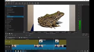 Shotcut add icon picture image to your video