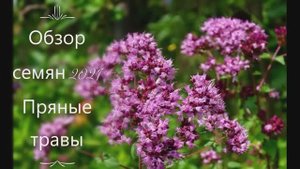 Обзор семян - Пряные ТРАВЫ