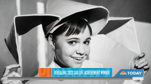 Sally Field to receive Screen Actors Guild Life Achievement Award смотреть онлайн