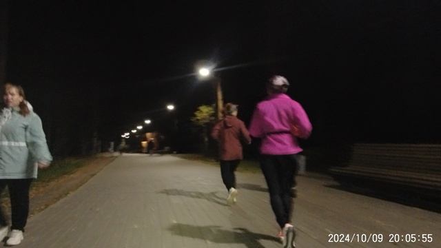 5 Верст черепашки. Я открыл а они как ломанули.. 09 октября 2024